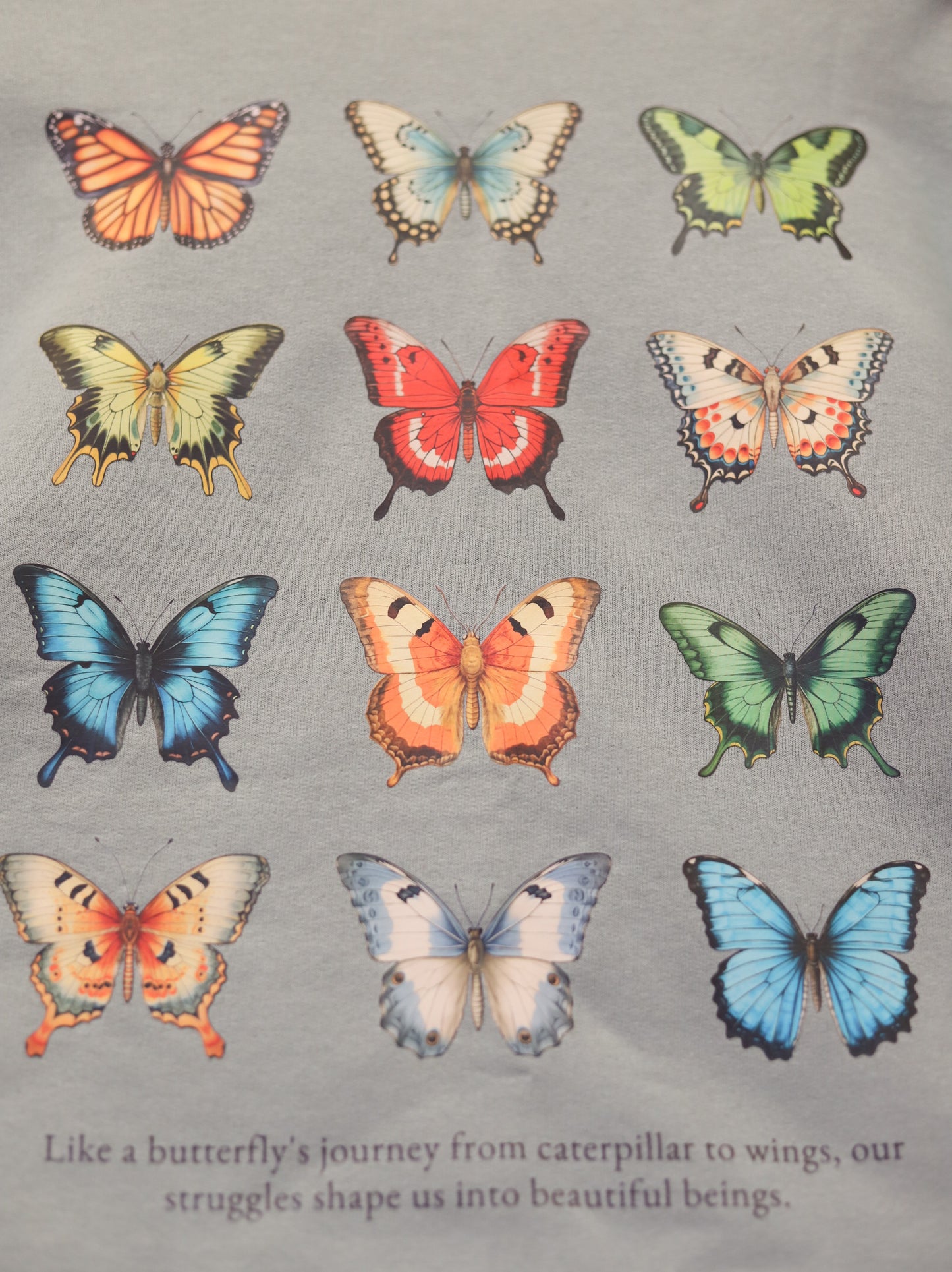 Butterfly Sweatshirt