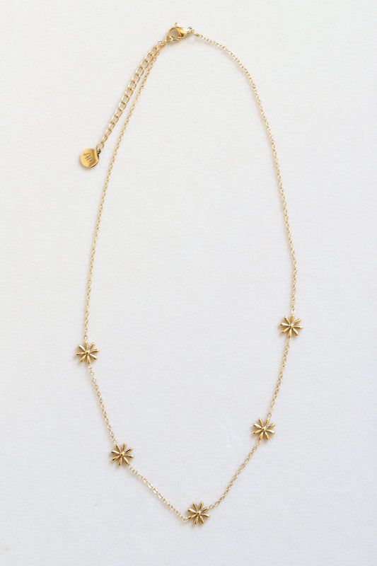 Love Me, Love Me Not 16-18” Necklace